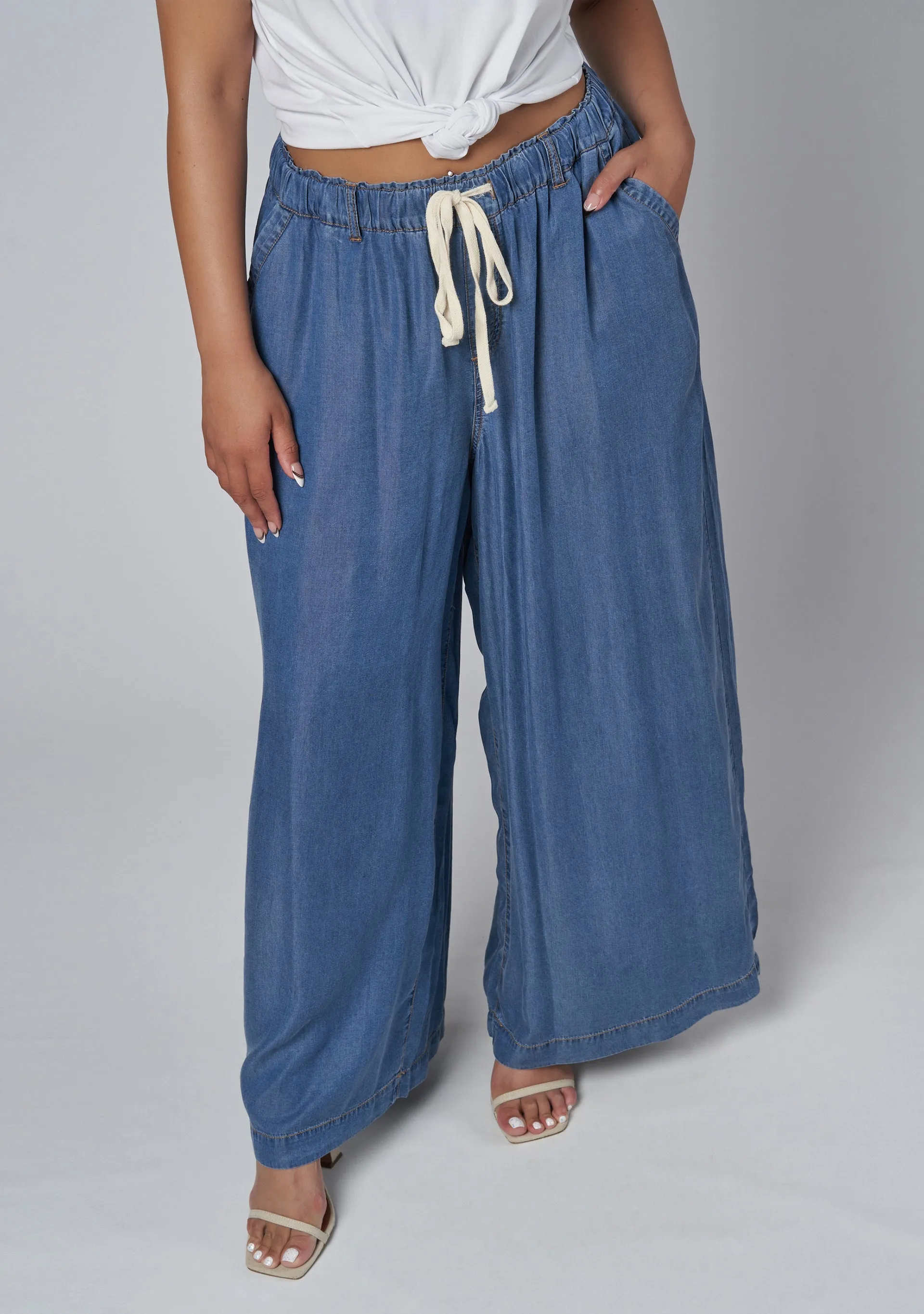 Blake Chambray Wide Leg Pants