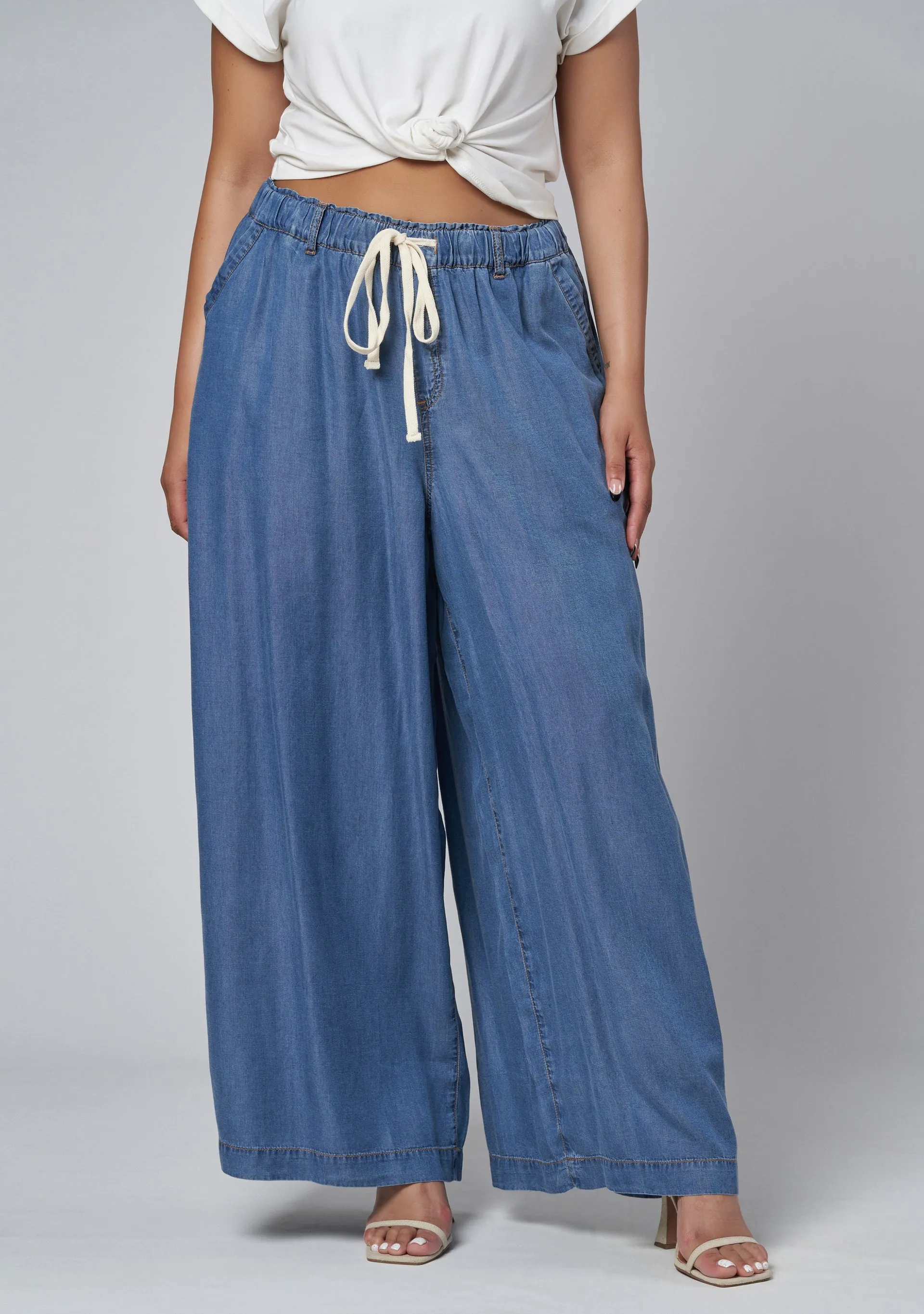 Blake Chambray Wide Leg Pants