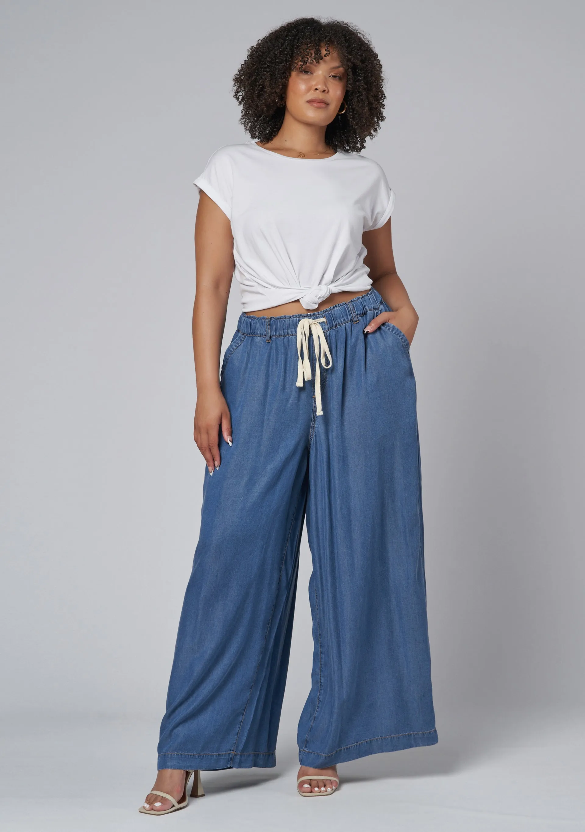 Blake Chambray Wide Leg Pants