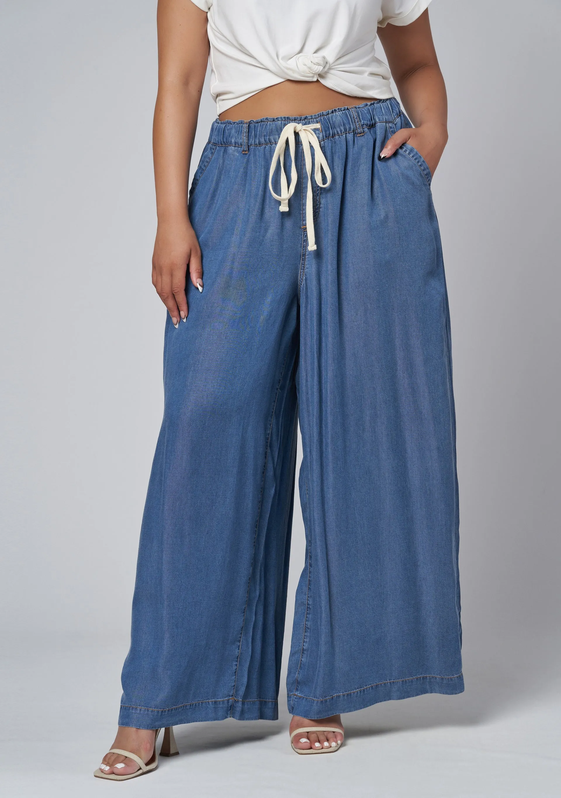 Blake Chambray Wide Leg Pants