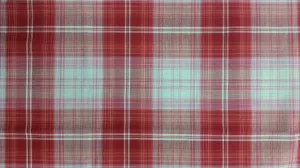 COTTON LAWN YARN DYED PLAID DSN-JULIA NON-STRETCHED WOVEN - SHIRTING FABRIC<br><h6>2-BRT RED/WHITE<br>250J-CLJPLD</h6>