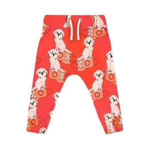 Dear Sophie Pants/ Trousers - Cosmodog Orange