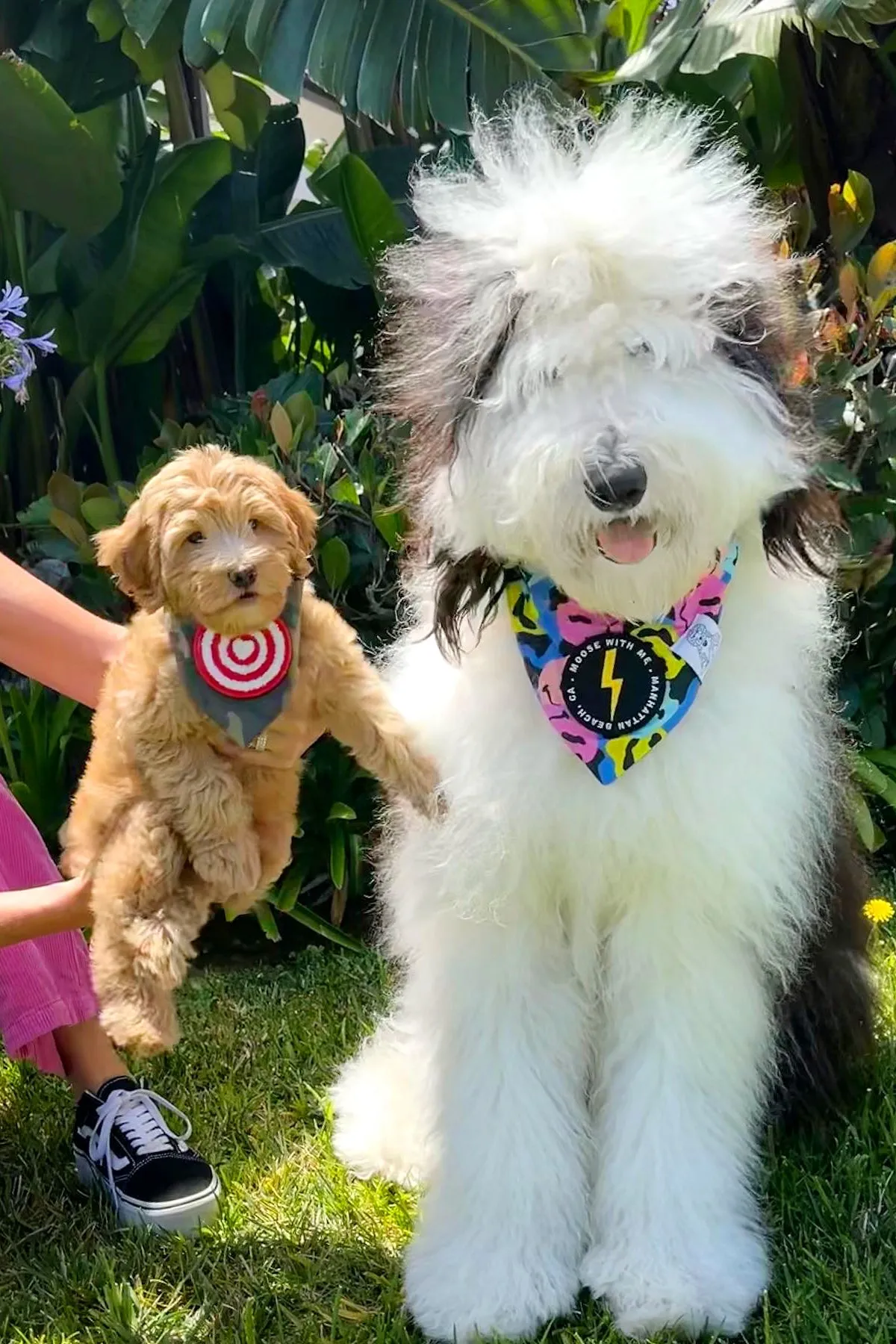 ★Dog Bandana Camouflage - Customize with Interchangeable Velcro Patches