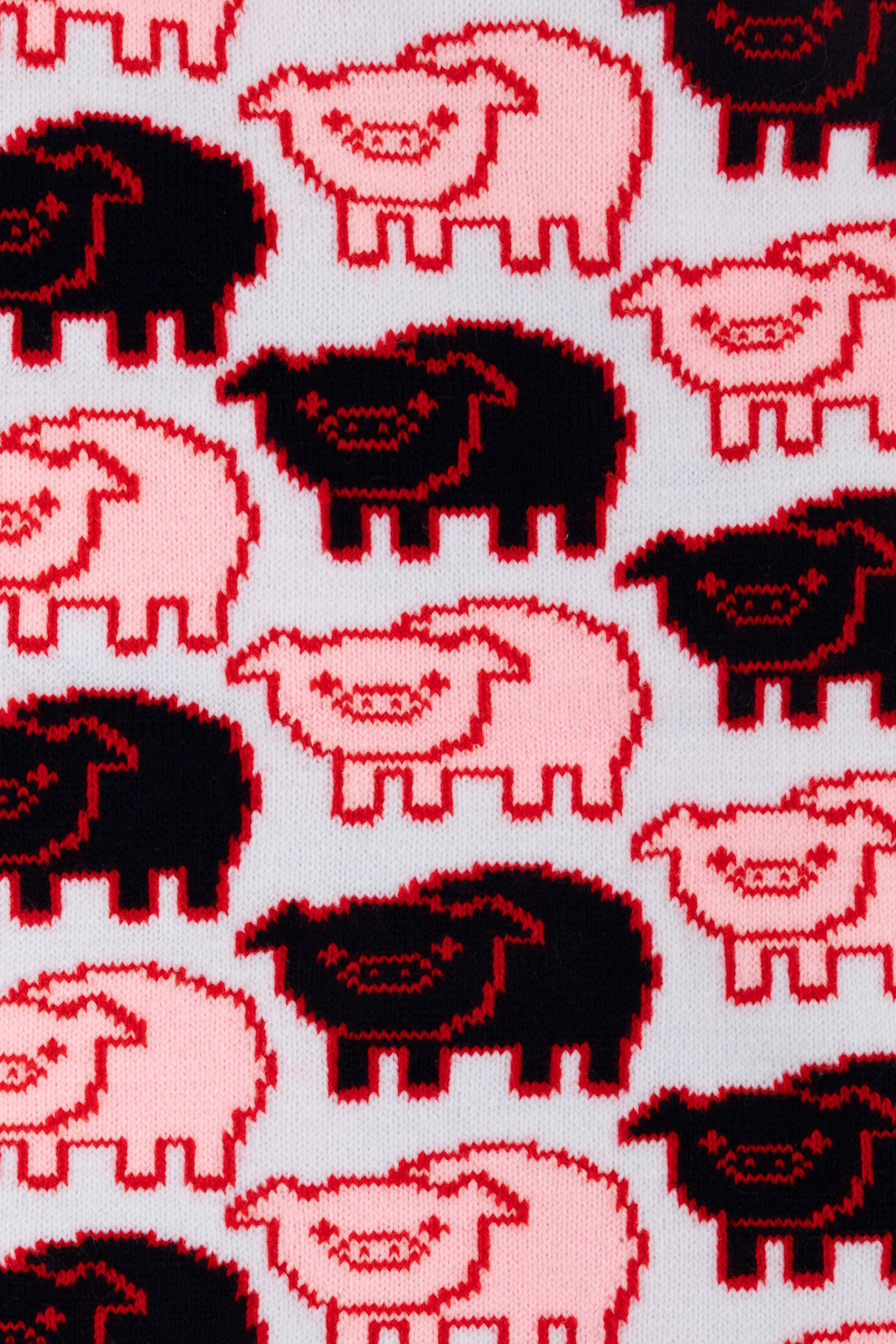 JQSCARF38 - Pig Scarf