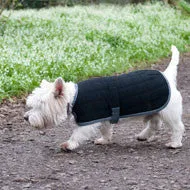 Therma-Dry Winter Dog Coat with Standard Neck