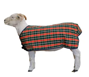 Travel & Show Sheep Coat